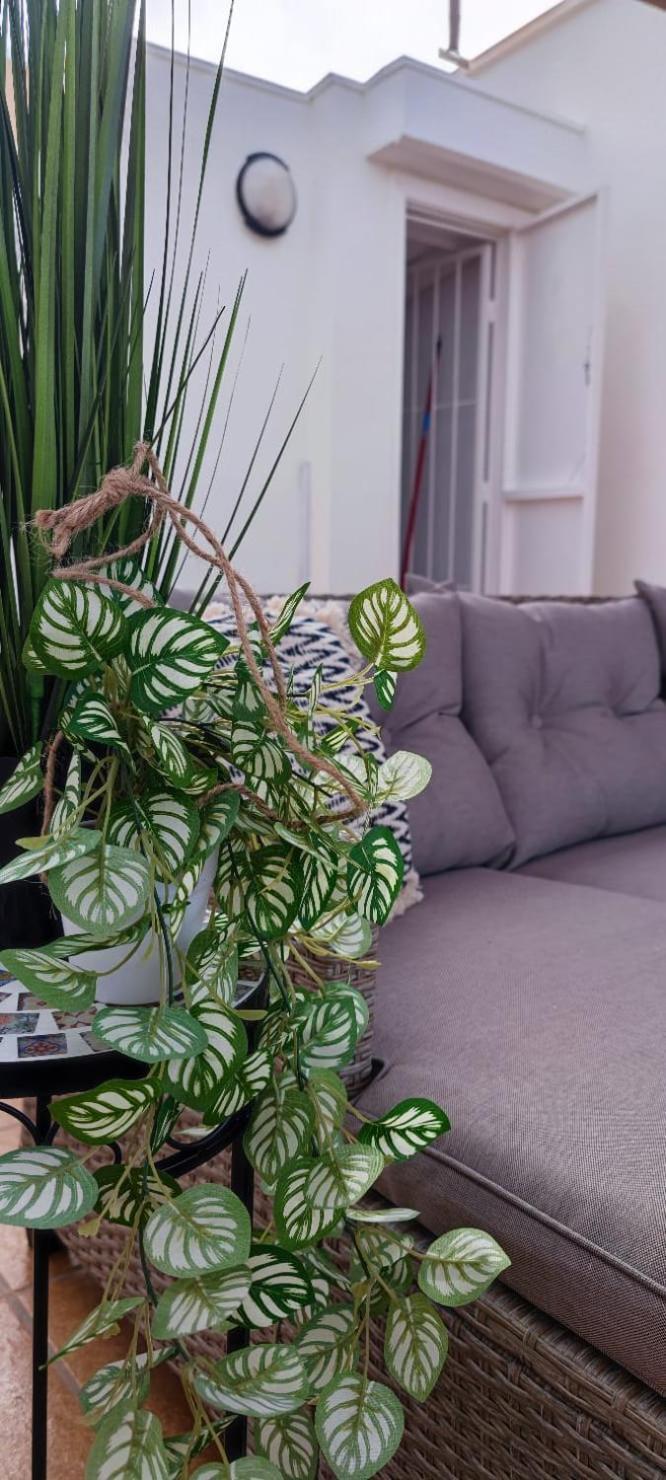 Apartamento Casa De Alba Cabo Cervera La Mata Torrevieja Exteriör bild